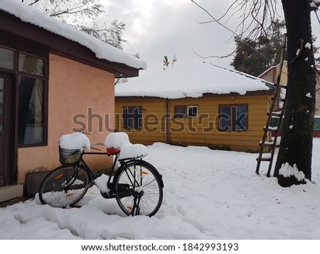 Beautiful snowfall picture. A bicycle standing infront of a home and a ladder is with the tree. Photo is taken after snowfall in Srinagar, Jammu and Kashmir
