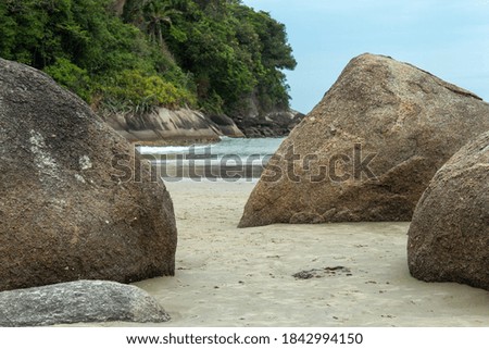 closeup of rocks with the ocean in the background
