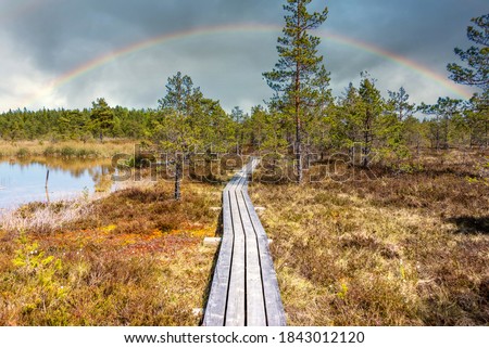 Sulphur Water Swamp in Latvia Rainbow Royalty-Free Stock Photo #1843012120