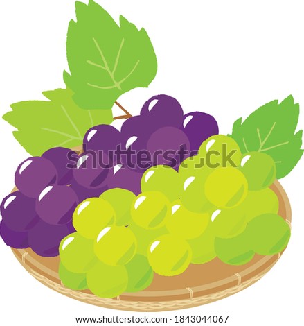 Grape and muscat in a basket.