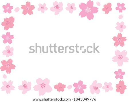 Frame of cherry blossom which bloomed in full bloom in the spring