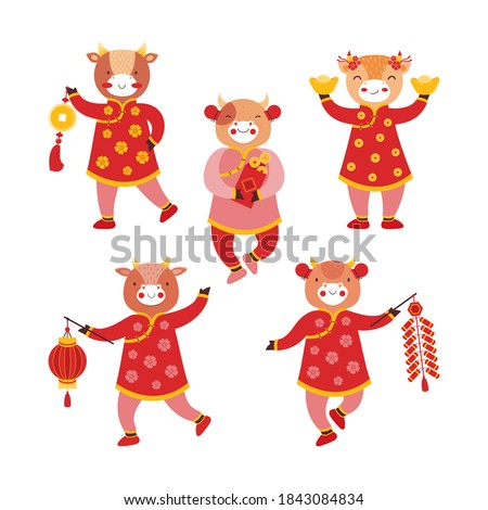Set of cartoon baby bull girls in red traditional Chinese clothes and with new years symbols of good luck. Chinese new year ox. Festival firecracker, paper flashlight, gold coins, envelope with money