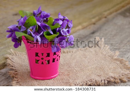 Small bouquet with meadow violets in a bucket. On wooden board and canvas.