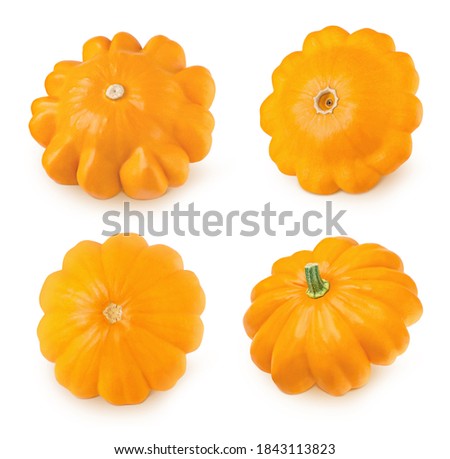 Set of fresh whole yellow summer squash isolated on a white background. Clip art image for package design.