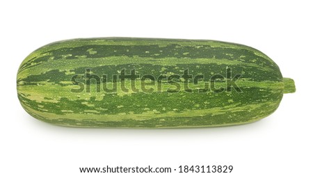 Fresh whole green vegetable marrow zucchini isolated on a white background. Clip art image for package design.