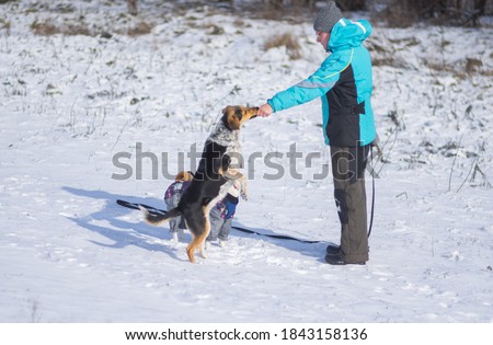 Female master feeding black mixed breed dog that standing on a hind legs on a snow