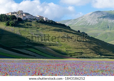 One of the wonders of the Sibillini Mountains is the splendid vision that this event offers every year, the flowering of Castelluccio di Norcia. 