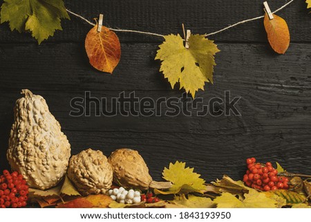 Festive autumn decor from pumpkins, berries and leaves on a black wooden background. 