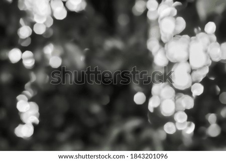 Gradation of faded sunlight through the trees.
Polygonal bokeh background.