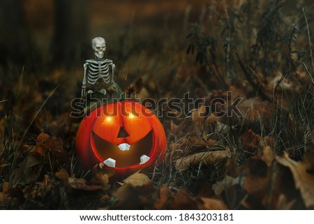 Skeleton and smiling pumpkin in a dark forest. Halloween vibe. 