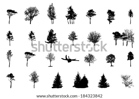Set of Tree Silhouette Isolated on White Backgorund. Vector Illustration