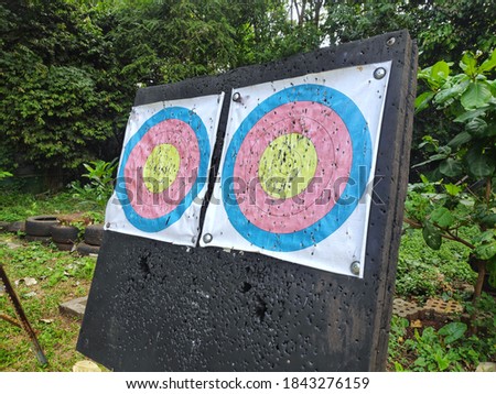 Target for archery training and tournament