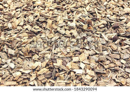 Wooden shavings background . Sawdust texture