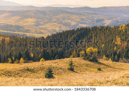  landscape photography, autumn forest and mountains, sunny day