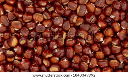 Sweet Chestnuts background for the backdrop. Flat lay of chestnut