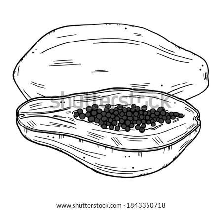 Papaya fruit illustration. Whole and half of the fruit isolated on a white background. Doodle style black outline.