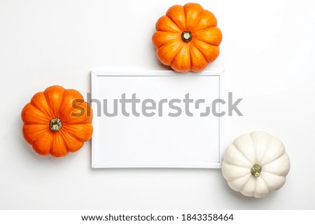 Mock up flat lay of mini decorative pumpkin white, orange and yellow colors and white frame on bright background. Halloween and Thanksgiving greeting card holiday concept with copy space