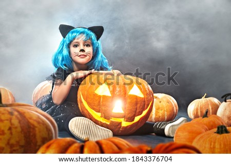 Happy Halloween! Cute little girl child in cat costume posing with pumpkin lantern on a dark background with smoke. Copy space.