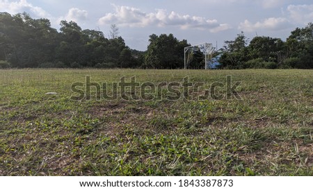 a football field in the middle of the forest