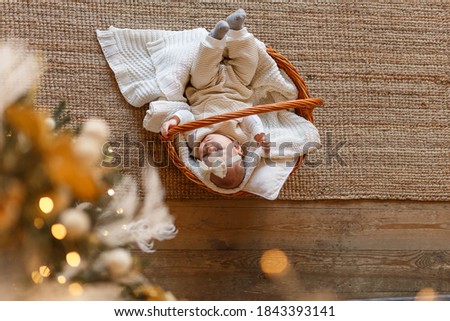 Six-month-old baby lies in a basket under a Christmas tree