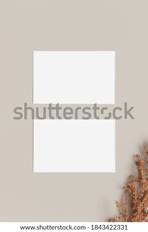 Two white business cards mockup with a dry flower. 85x55mm