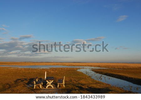 evening at lake lange lacke in the austrian national park seewinkel, neusiedler see, table and bench