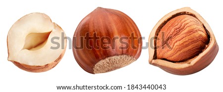 Set of hazelnuts isolated on white background Royalty-Free Stock Photo #1843440043