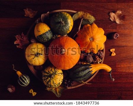 autumn still life with pumpkins, squashes, leaves and chestnuts on a rustic table, top view, in low key