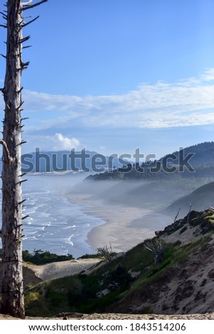 rocky ocean coast and beach