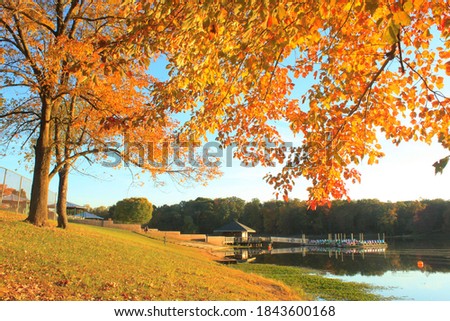 Fairfax lake park in fall