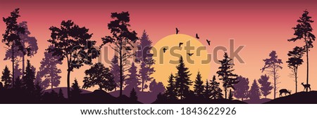 Forest trees vector. Sunset illustration