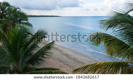 A beautiful aerial view of a calm beach with palms