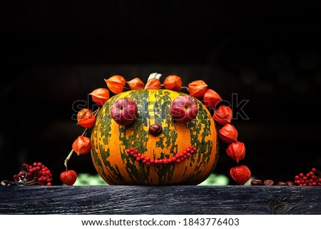Decorated pumpkin, on a black background. The concept of autumn, harvest, halloween. 