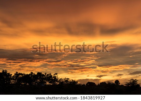 Yellow gold sky evening In tropical countries summer

