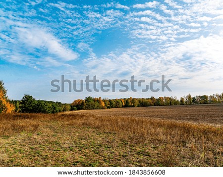 A plowed agricultural field against the cloudy skyline. Plowed potion in a farm field. Autumn season. Trees on the horizon. Cloudy sky. Preparation for sowing agricultural crops. Background image.