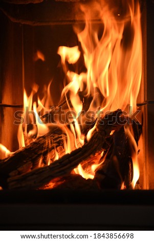 flames, fire of a fireplace