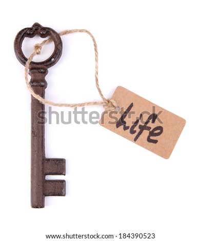 Key to life, Conceptual photo. Isolated on white