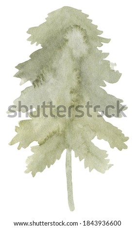 Hand painted watercolor spruce tree. Isolated on white background. Hand drawn winter illustration. Merry christmas and happy new year. Fir decor for design card, poster, postcard, greeting, invitation