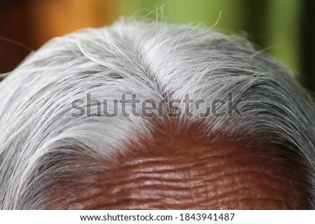 An old Indian lady with white hair in the head. Close up of toned skin long gray hair makes the look vintage 