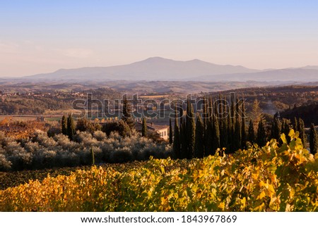 Sienese Crete and Monte Amiata in October Royalty-Free Stock Photo #1843967869