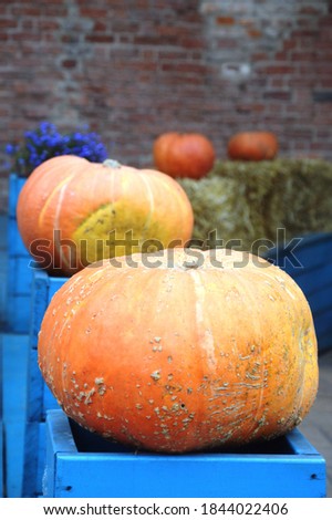 Large DIY pumpkin for Halloween.