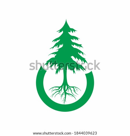 Green pine tree in the circle shape logo template