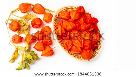 Physalis common bladder cherry, Chinese lantern, Japanese lantern, Groundcherry strawberry, Japan, its bright and lantern-like fruit cups make up a traditional part of the Bon festival