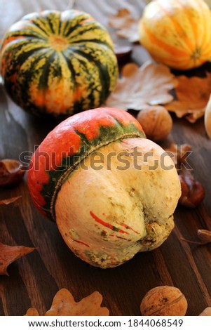Mini Thanksgiving Pumpkins And Leaves On Rustic with nuts, leaves, acorns on Wooden Table. Thanksgiving, Harvest Concept