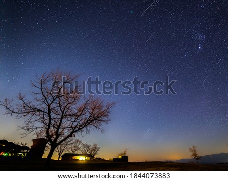 Starry sky over lonely tree silhouette