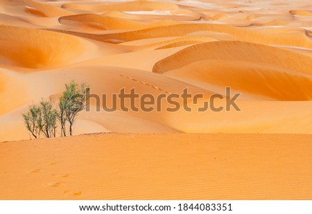 Beautiful Desert Dunes Ripples at Liwa Abu Dhabi UAE Royalty-Free Stock Photo #1844083351