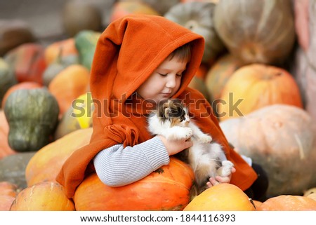 A small/ little child girl in an orange raincoat / poncho with a gnome long hood on a pile / slide of colorful pumpkins with a small kitten. Bright autumn picture, harvest, thanksgiving