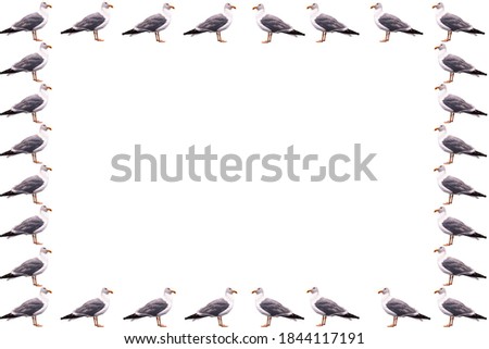 Isolated gulls leaving the center for your text. White background. Concept of marine animals