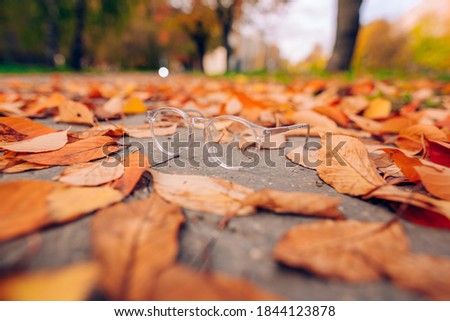 Glasses on green grass close up image during daytime. Background of autumn yellow leaves. Good photo for the shop or online market