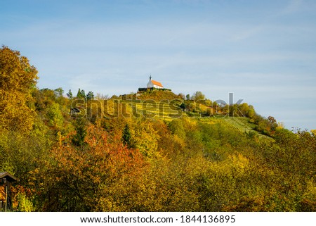 Picture of the St. Remigius Chapel (Wurmlinger Kappelle) on the top of a yellow-golden vineyard in autumn on a golden October day